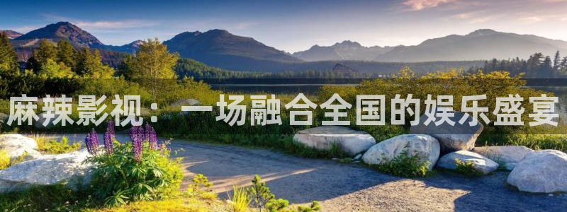 寂静岭在线观看免费观看西瓜：麻辣影视：一场融合全国的娱乐盛宴