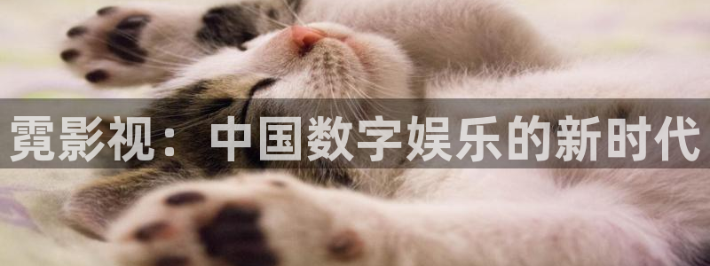 关于西瓜的画：霓影视：中国数字娱乐的新时代