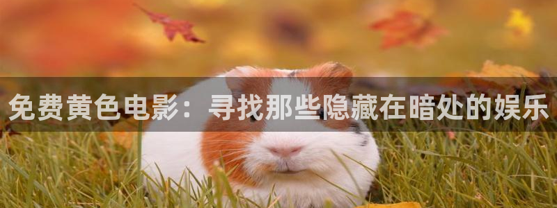 涩世纪传说免费观看全集西瓜