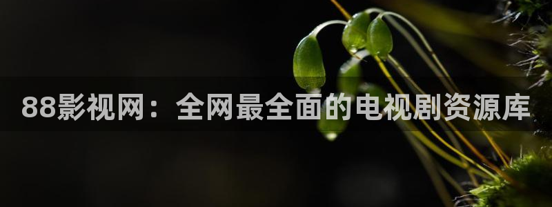 长津湖免费观看完整版高清西瓜：88影视网：全网最全面的电视剧资源库