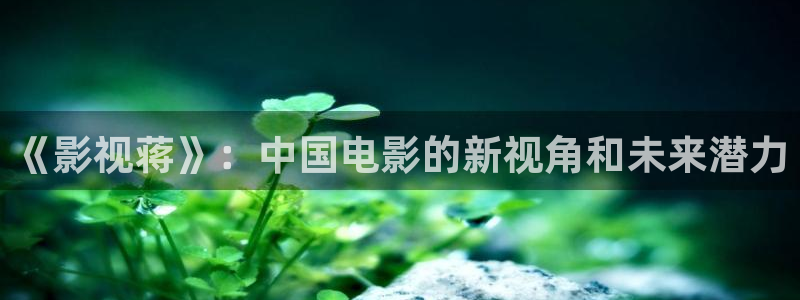 十七岁完整版在线观看西瓜动漫：《影视蒋》：中国电影的新视角和未来潜力