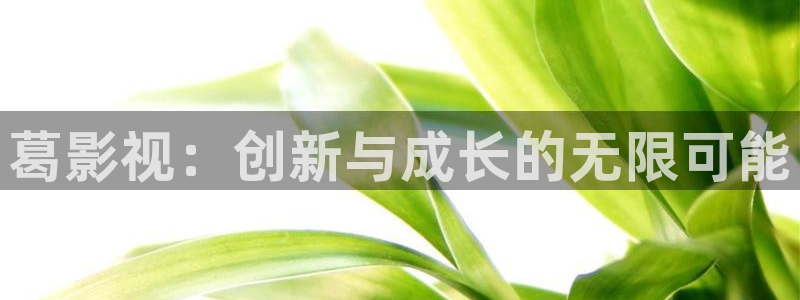 免费安装西瓜视频：葛影视：创新与成长的无限可能