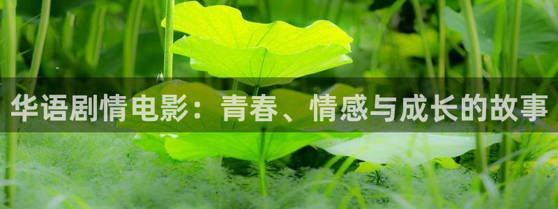 西瓜视频免费看：华语剧情电影：青春、情感与成长的故事
