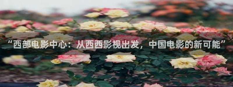 西瓜黄色影院：“西部电影中心：从西西影视出发，中国电影的新可能”