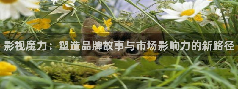 西瓜电影视