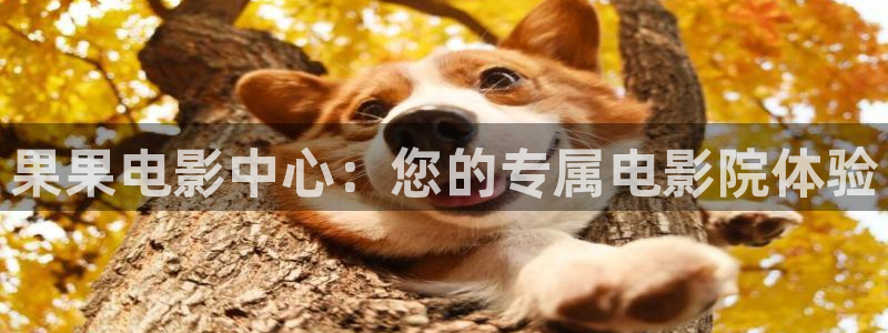 西瓜电影韩国