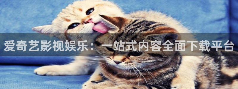 西瓜视频是西瓜视频