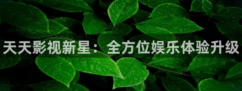 西瓜的图片大全