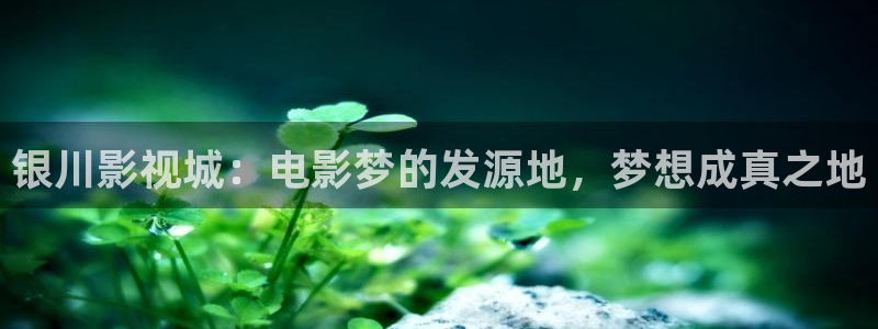 落花时节又逢君免费观看西瓜：银川影视城：电影梦的发源地，梦想成真之地