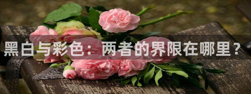 西瓜电视